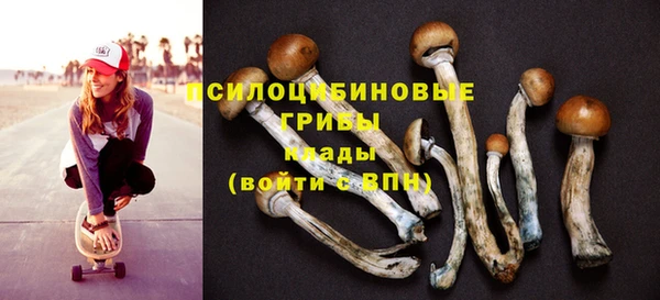 ALPHA-PVP Баксан